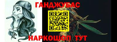 крисы Будённовск