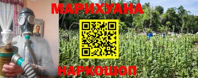 крисы Будённовск