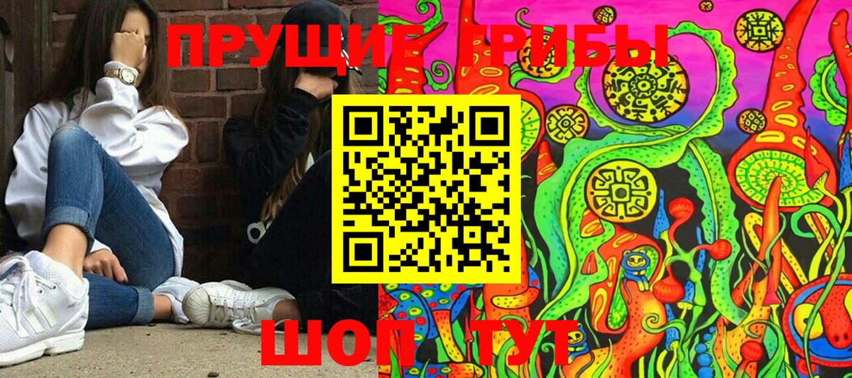 Галлюциногенные грибы прущие грибы Озёрск