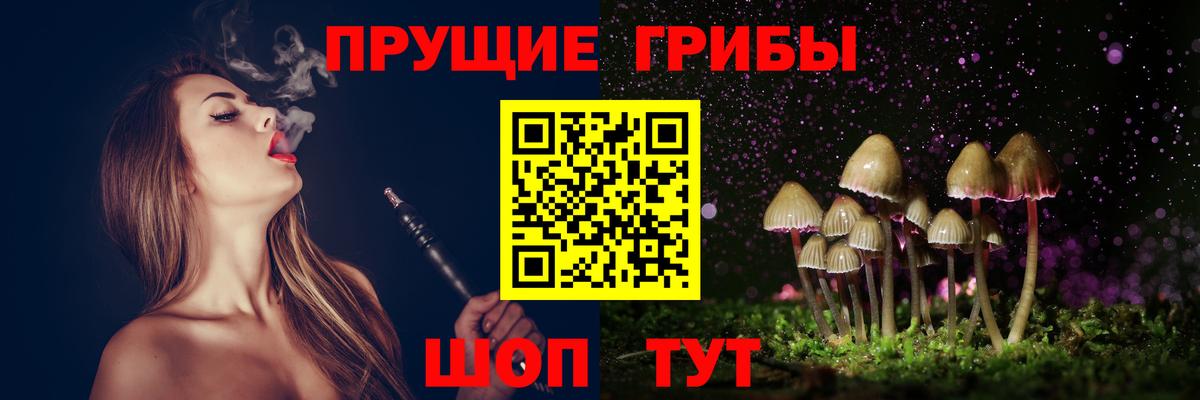 Озёрск  Галлюциногенные грибы прущие грибы  Вход с VPN 